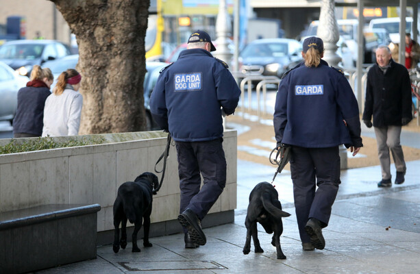 Gardaí say urgent work needed to improve conditions at garda dog unit kennels Gardaí say urgent work needed to improve conditions at garda dog unit kennels